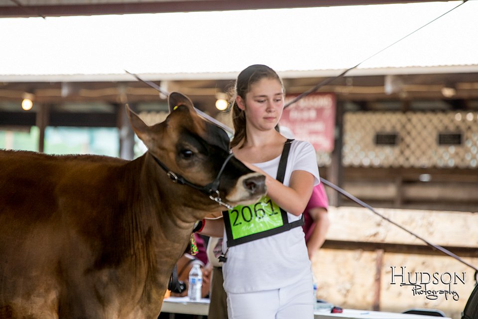 LCFAIR-081518-3570.jpg
