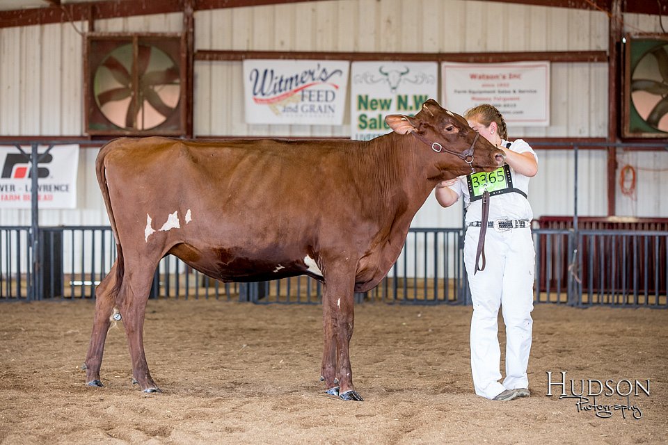 LCFAIR-081518-3574.jpg