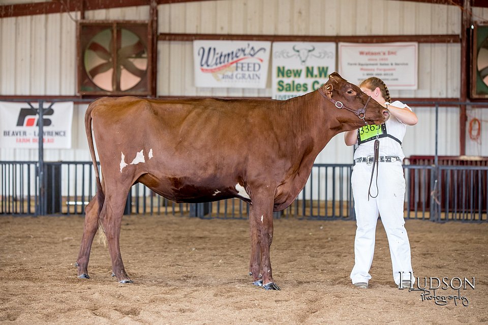 LCFAIR-081518-3575.jpg