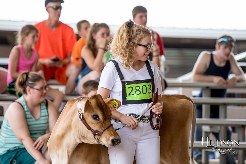 LCFAIR-081518-3581.jpg
