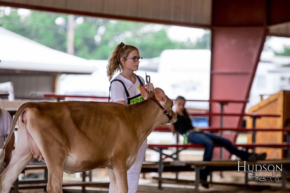 LCFAIR-081518-3585.jpg