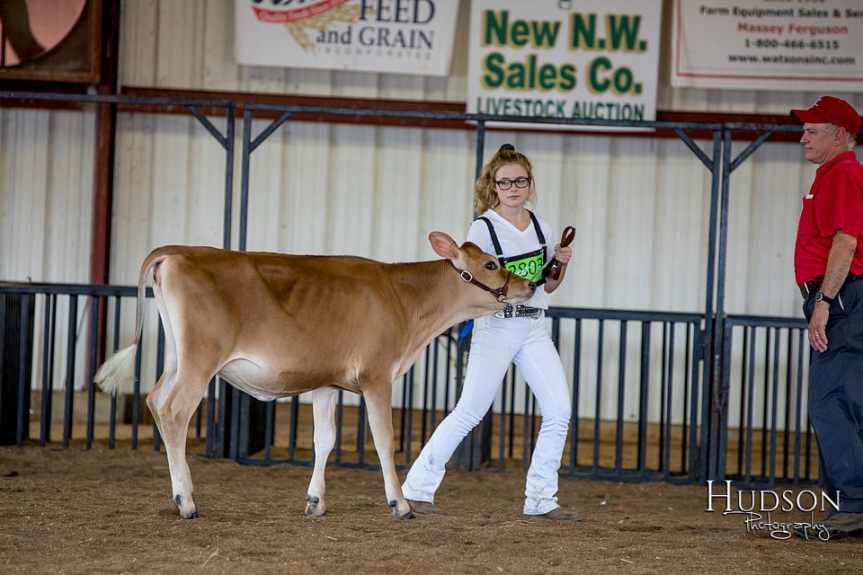 LCFAIR-081518-3586.jpg