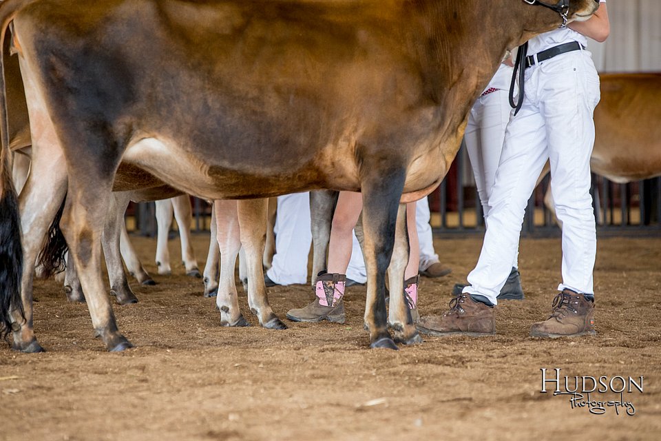 LCFAIR-081518-3593.jpg