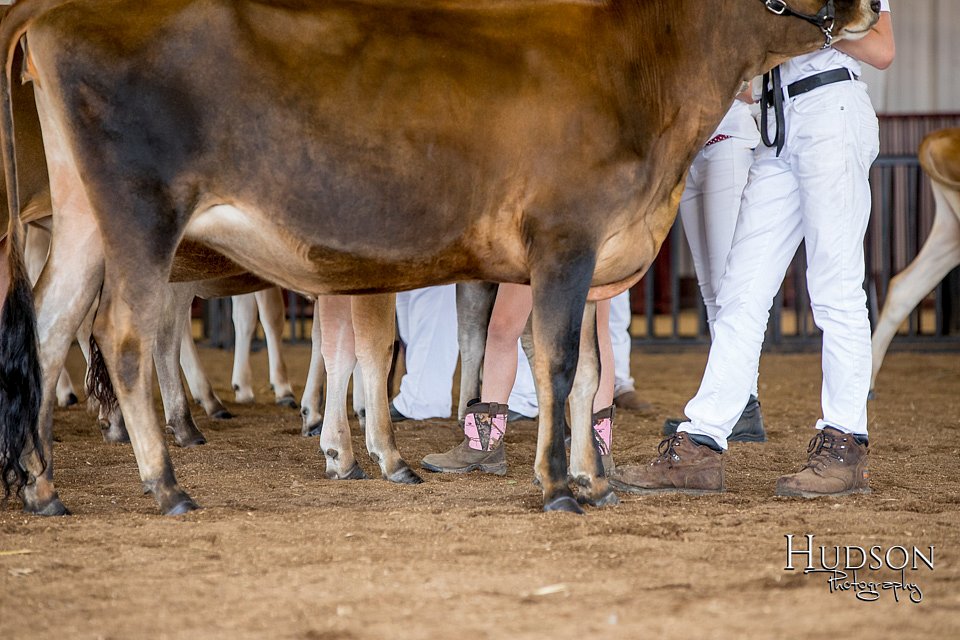 LCFAIR-081518-3594.jpg