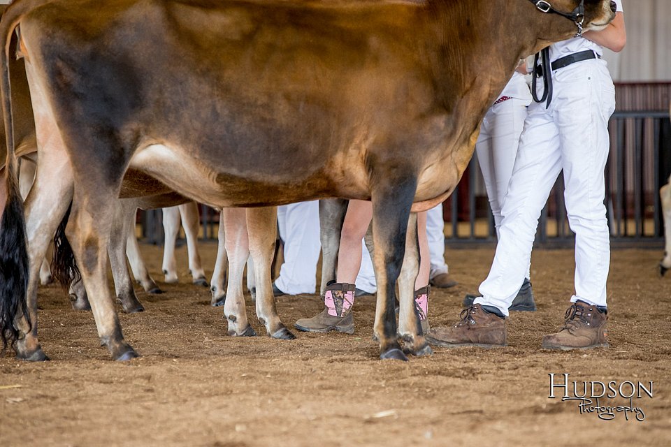LCFAIR-081518-3595.jpg