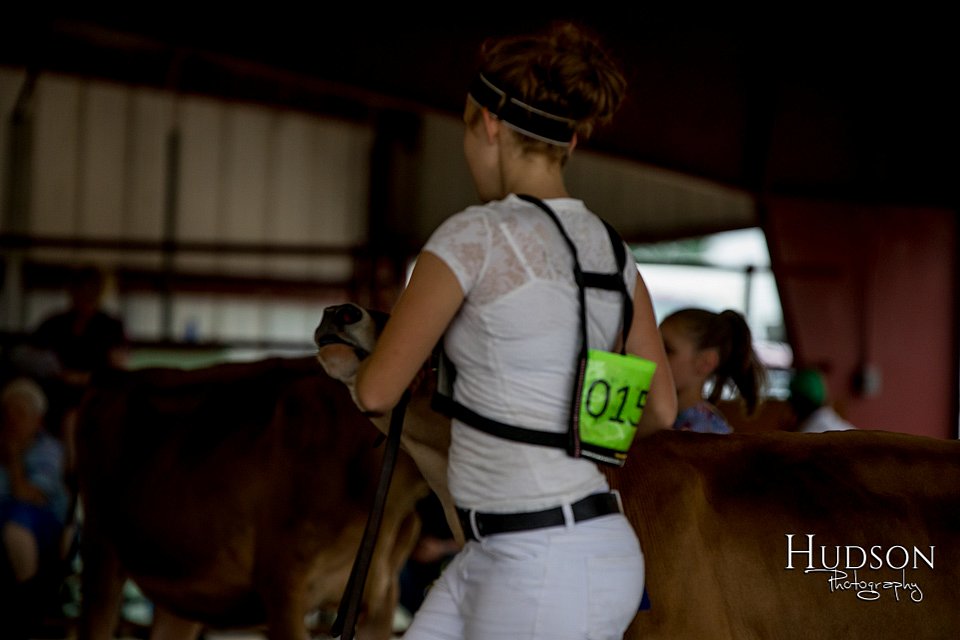 LCFAIR-081518-3597.jpg