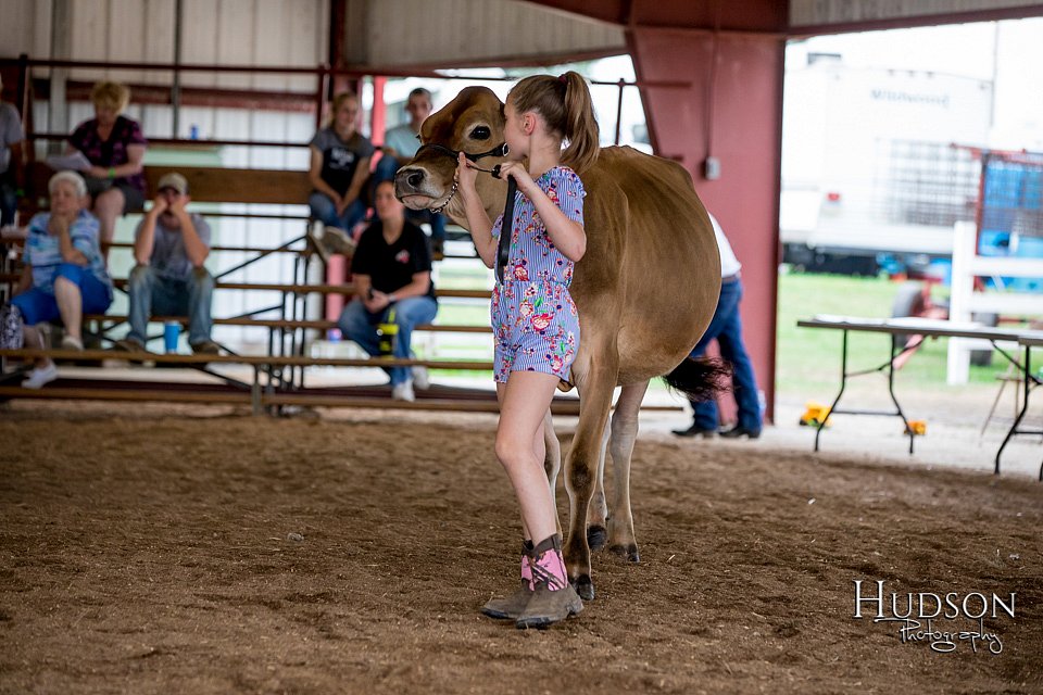 LCFAIR-081518-3599.jpg