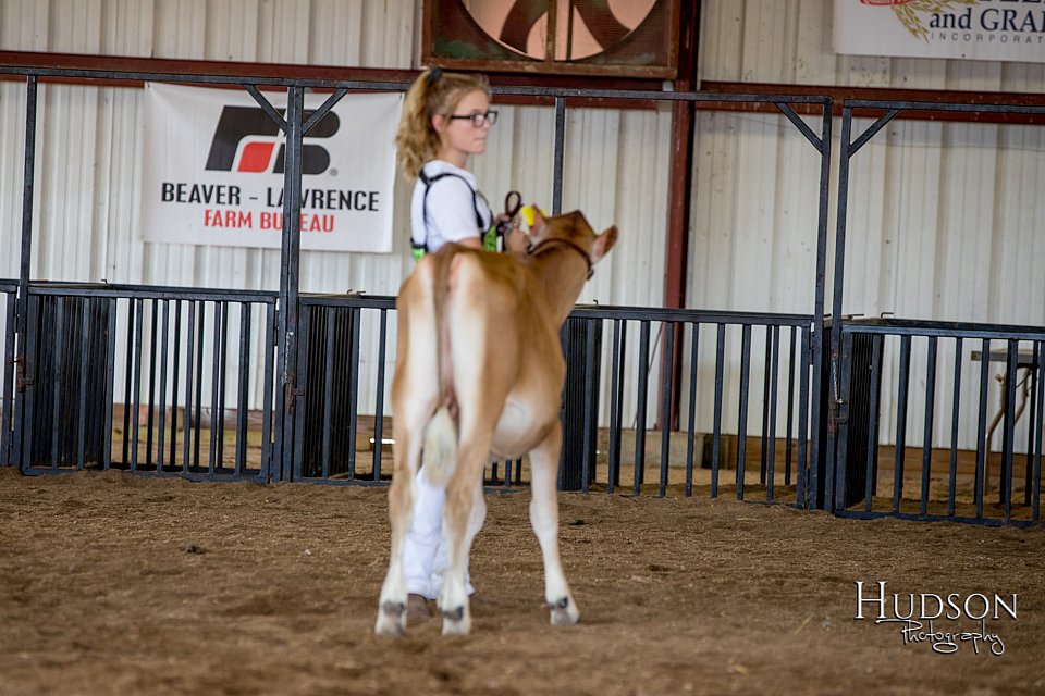 LCFAIR-081518-3602.jpg