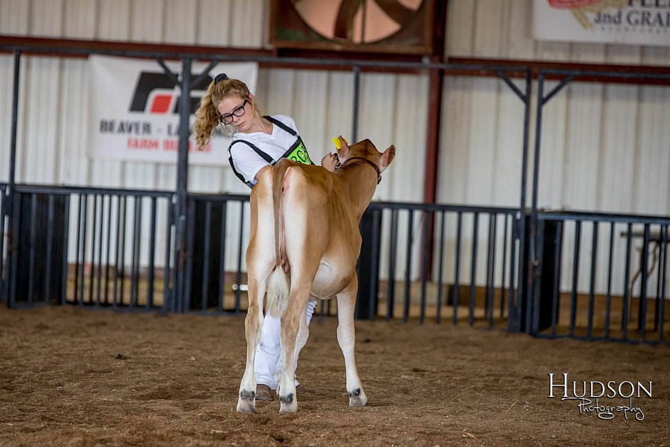 LCFAIR-081518-3603.jpg