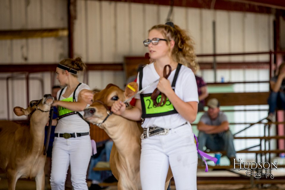 LCFAIR-081518-3606.jpg