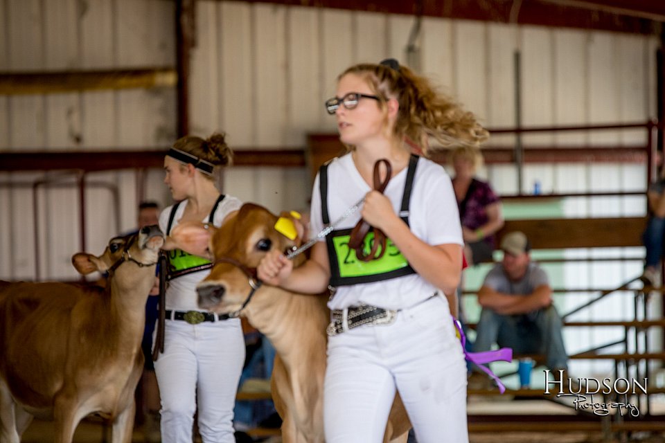 LCFAIR-081518-3607.jpg