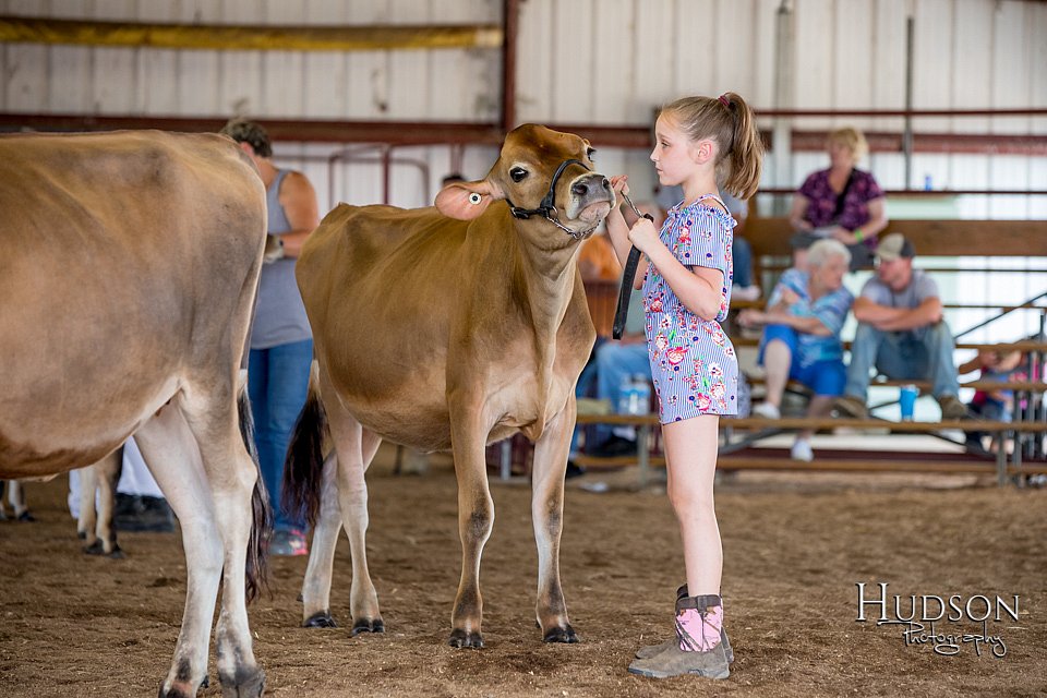 LCFAIR-081518-3609.jpg
