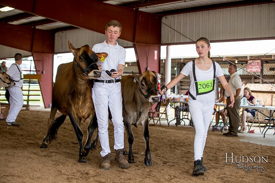 LCFAIR-081518-3611.jpg