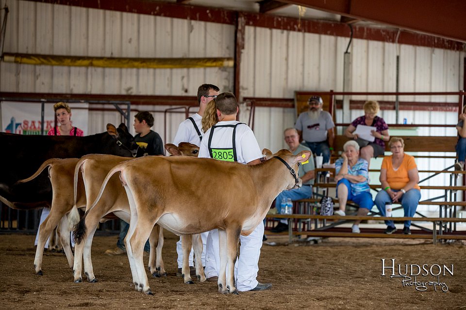 LCFAIR-081518-3614.jpg