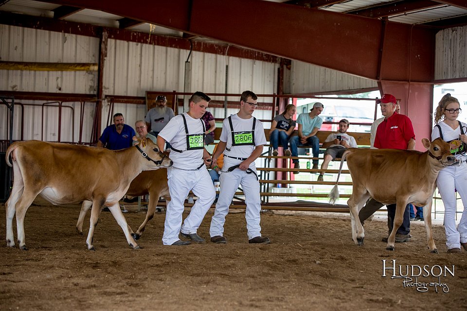 LCFAIR-081518-3621.jpg
