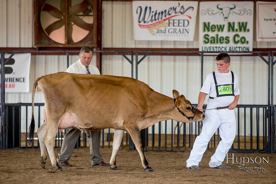 LCFAIR-081518-3623.jpg