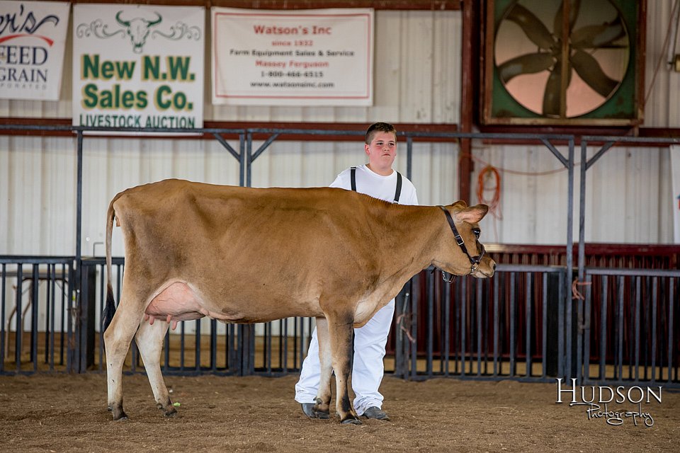 LCFAIR-081518-3624.jpg