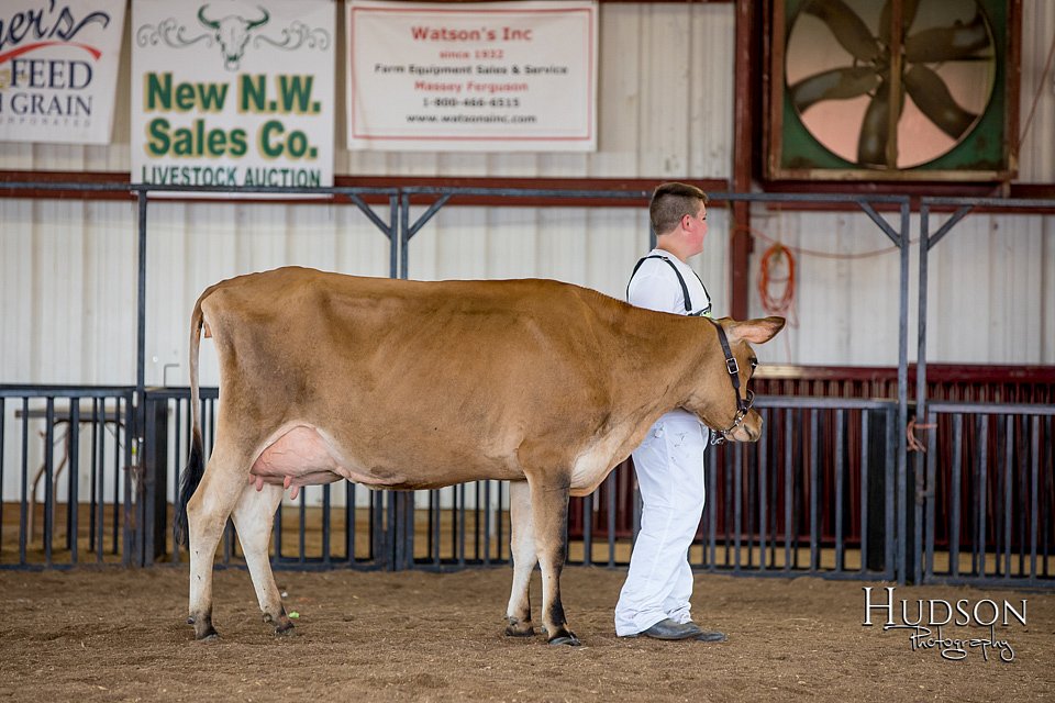 LCFAIR-081518-3625.jpg