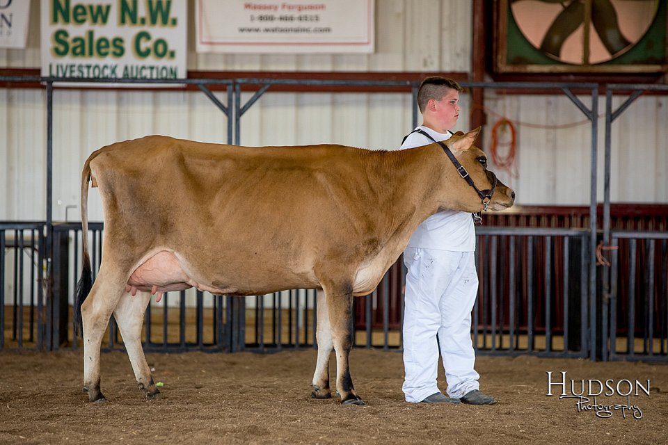 LCFAIR-081518-3626.jpg