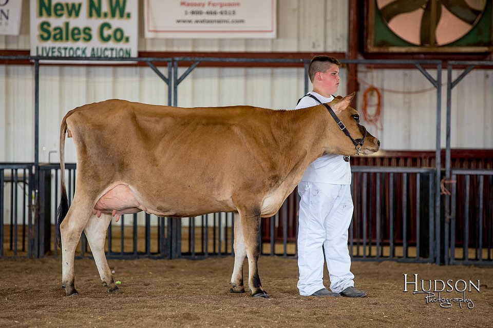 LCFAIR-081518-3627.jpg