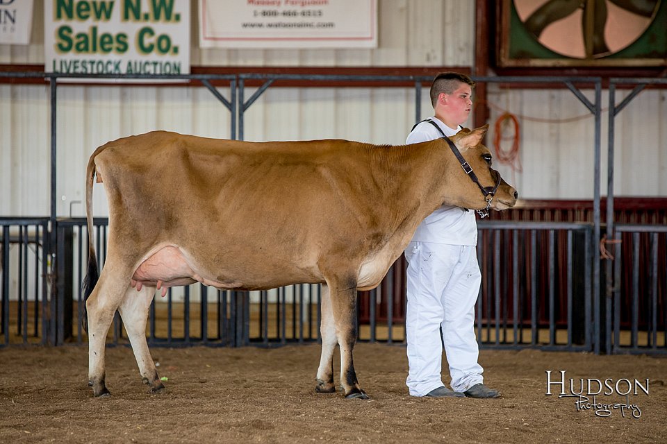 LCFAIR-081518-3628.jpg