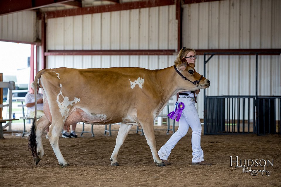 LCFAIR-081518-3633.jpg