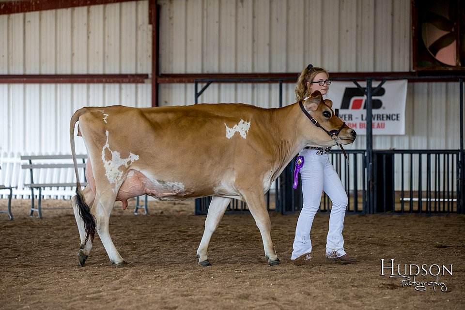 LCFAIR-081518-3634.jpg