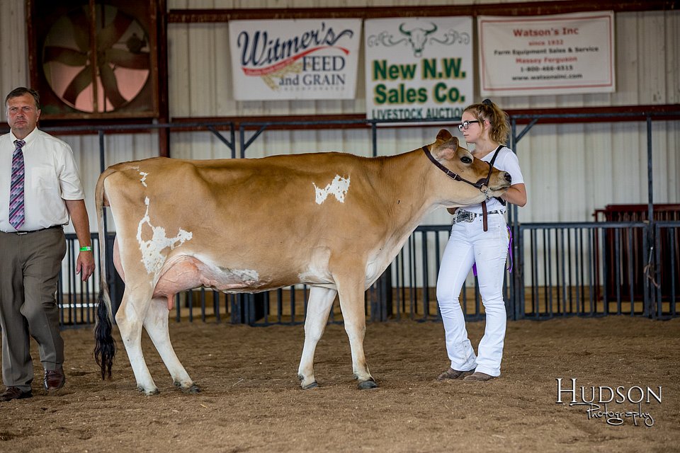 LCFAIR-081518-3635.jpg