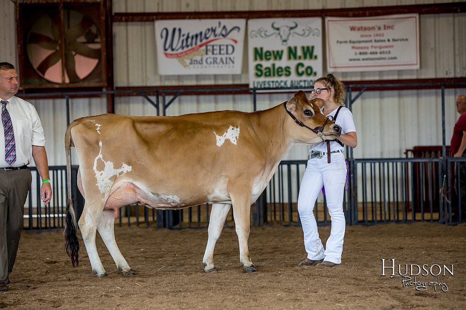 LCFAIR-081518-3636.jpg