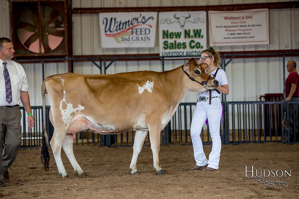 LCFAIR-081518-3637.jpg