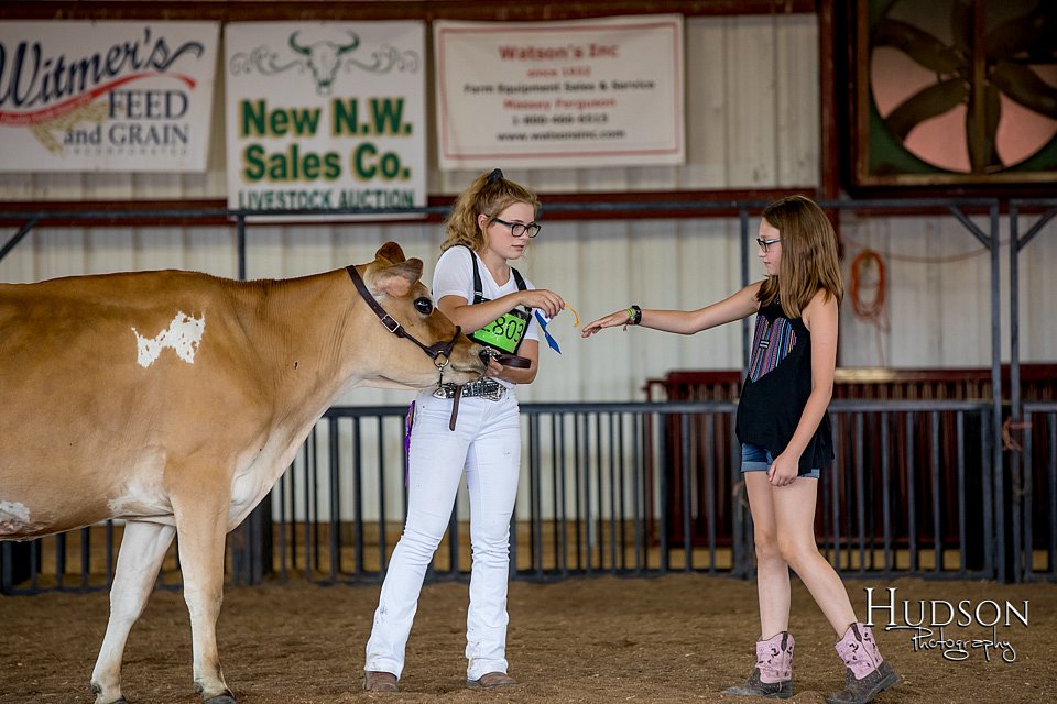 LCFAIR-081518-3638.jpg