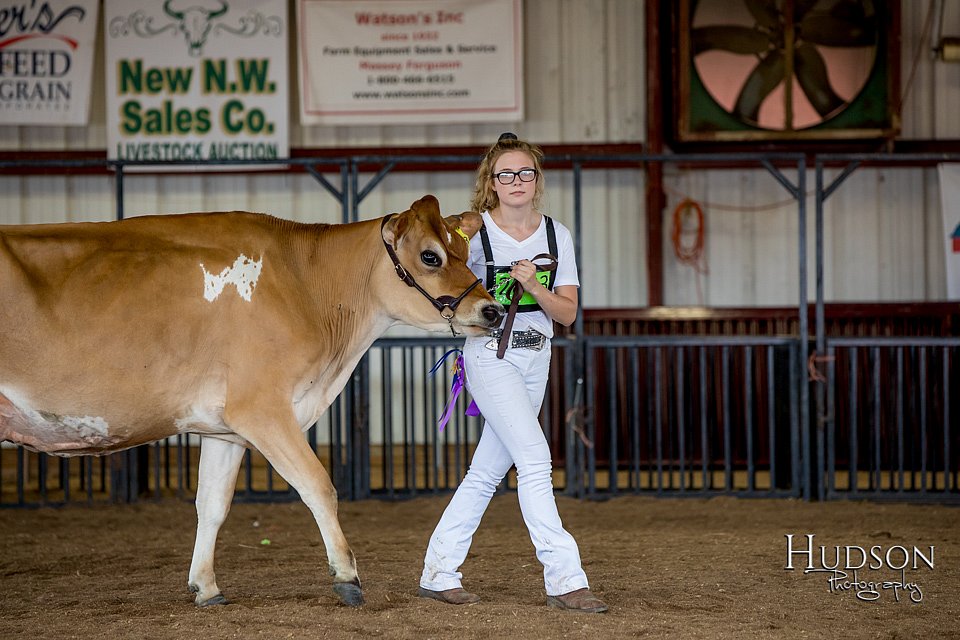 LCFAIR-081518-3639.jpg