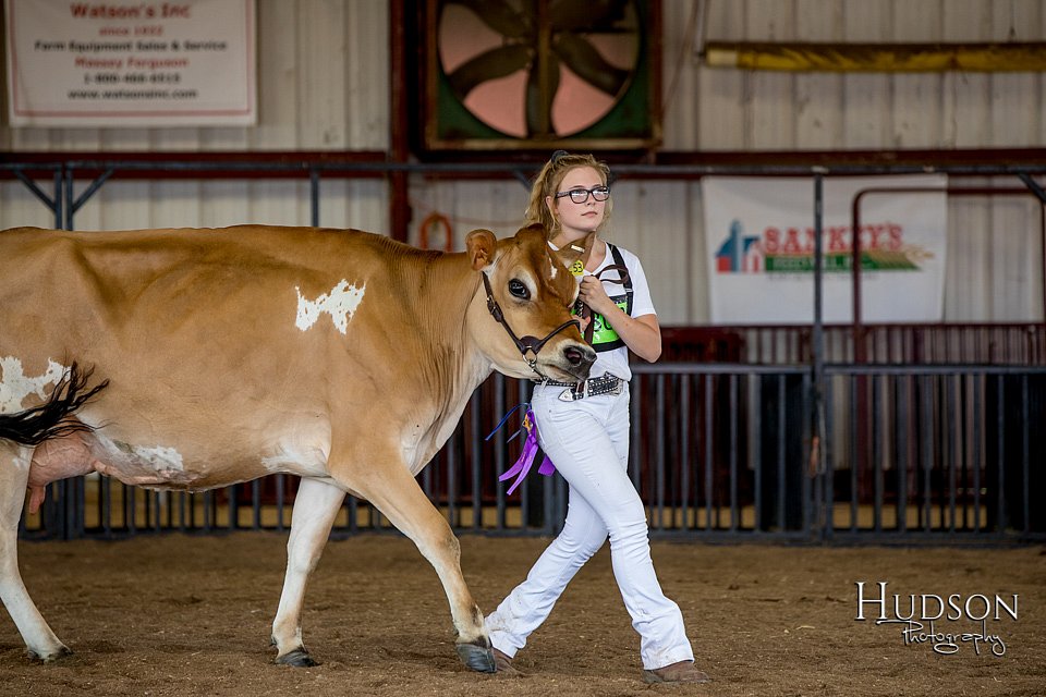LCFAIR-081518-3640.jpg