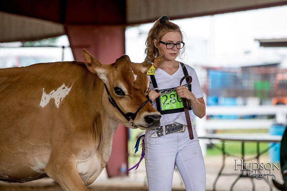 LCFAIR-081518-3642.jpg
