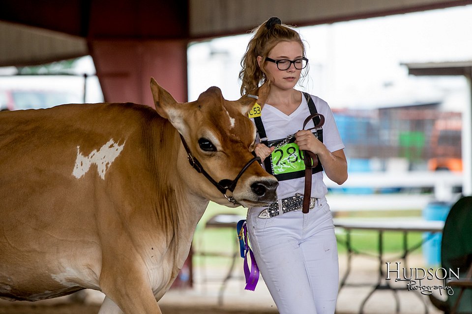 LCFAIR-081518-3643.jpg