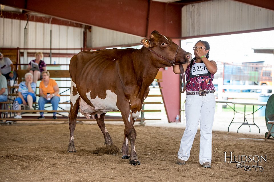 LCFAIR-081518-3647.jpg