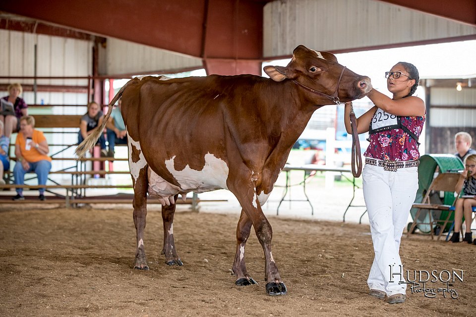 LCFAIR-081518-3648.jpg