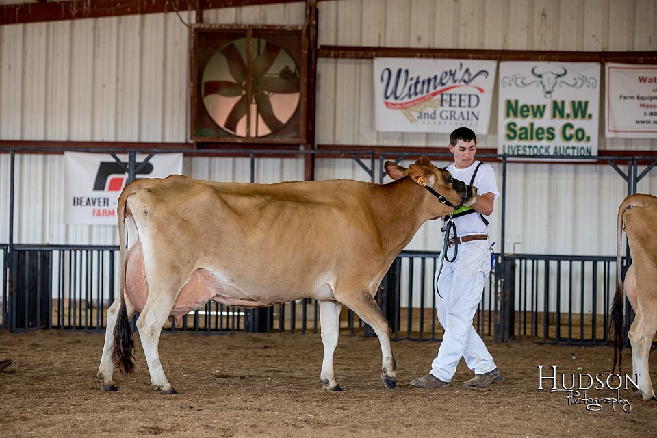 LCFAIR-081518-3650.jpg