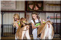 LCFAIR-081518-3448.jpg