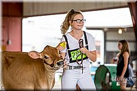 LCFAIR-081518-3465.jpg