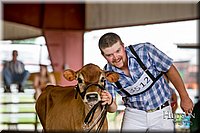 LCFAIR-081518-3471.jpg