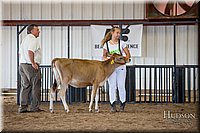 LCFAIR-081518-3492.jpg