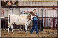 LCFAIR-081518-3517.jpg