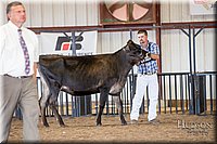 LCFAIR-081518-3555.jpg