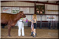 LCFAIR-081518-3577.jpg