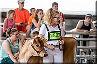 LCFAIR-081518-3581.jpg
