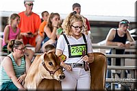 LCFAIR-081518-3582.jpg