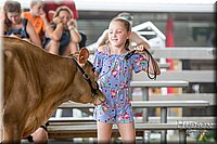 LCFAIR-081518-3587.jpg