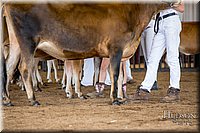 LCFAIR-081518-3593.jpg