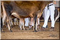 LCFAIR-081518-3594.jpg